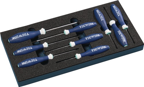 TECWERK Werkzeugmodul 9-tlg.1/3-Modul T 6-T 30 TECWERK