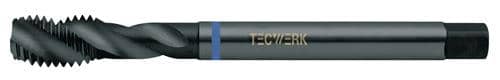 TECWERK Maschinengewindebohrer DIN 376C VA M22x2,5mm HSS-Co nitr.u.vapor.6H TECWERK