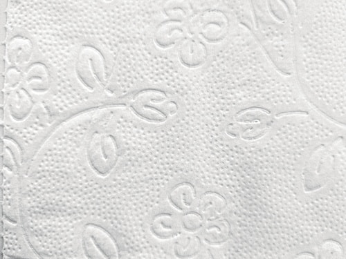 Toilettenpapier Racon Premium 3-lagig 64 RL à 250 Bl.RACON