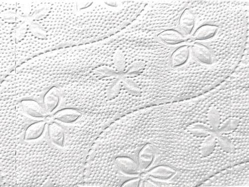 Toilettenpapier Racon Premium 3-lagig 64 RL à 250 Bl.RACON