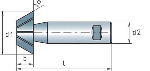 MAYKESTAG Winkelfräser DIN 1833D TypN D.20mm 45Grad HSS-Co Z.8 MAYKESTAG