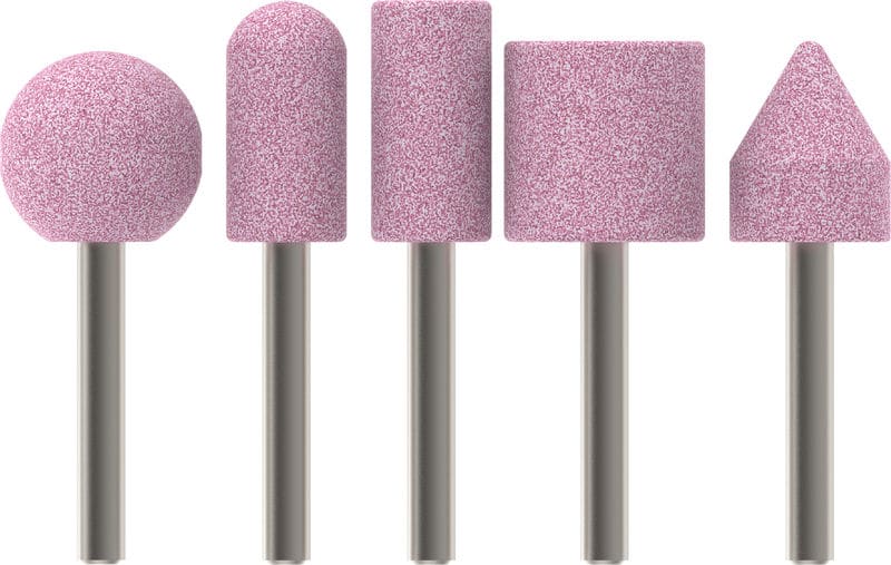 BOSCH Schleifstift-Set, 5-teilig, 6 mm, 60, 25, 15, 15, 25, 20 x 24, 30, 30, 25, 25 mm