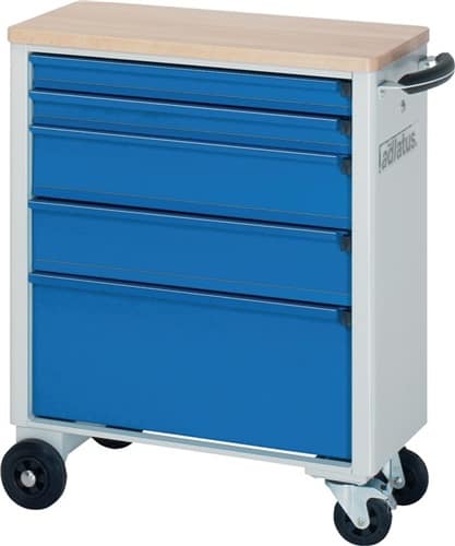 RAU Werkstattwagen Buchenplatte H860xB700xT350mm grau/blau 2x65,2x130,1x260mm