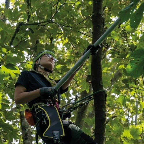 BERGER Teleskopstange ArboRapid L.1,45-3,80m BERGER
