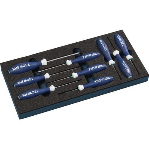 TECWERK Werkzeugmodul 9-tlg.1/3-Modul T 6-T 30 TECWERK