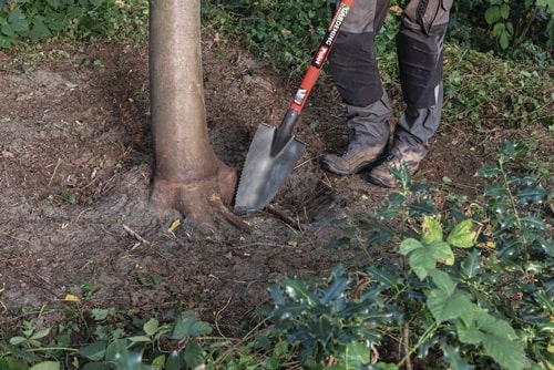 POLET Baumwurzelspaten 38x14cm Gartenspaten m.scharfen Zähnen POLET