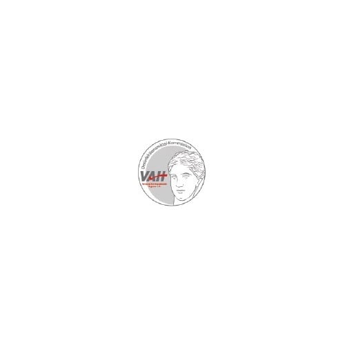RHEOSEPT Desinfektionstücher TEMDEX® WD plus Wipes L300xB270ca.mm KT=6x48 Tü.RHEOSEPT