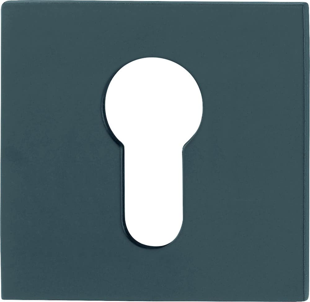 HOPPE® Schlüsselrosettenpaar E848NS, Edelstahl, 11741260
