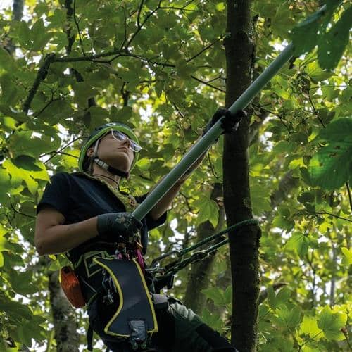 BERGER Teleskopstange ArboRapid L.1,45-3,80m BERGER