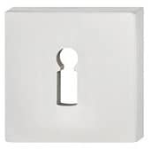 FSB Schlüsselrosette ASL® 12 1704, mit Nocken, Edelstahl