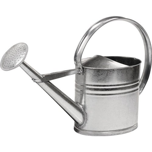 HANDLOWO Gießkanne 10l silber MET verz.