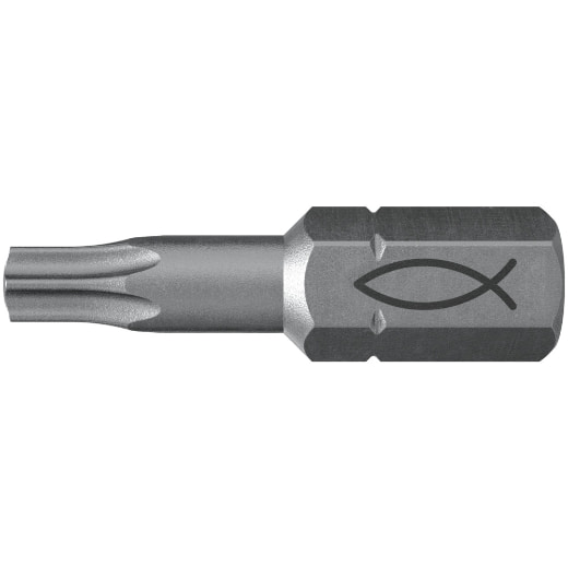 FISCHER Profi Bit FPB T 20 (10)