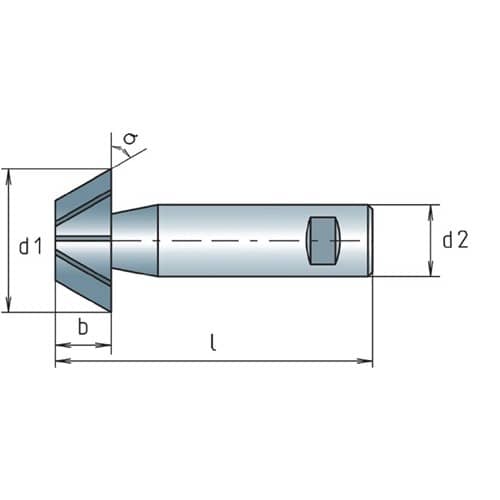 MAYKESTAG Winkelfräser DIN 1833D TypN D.20mm 60Grad HSS-Co Z.8 MAYKESTAG